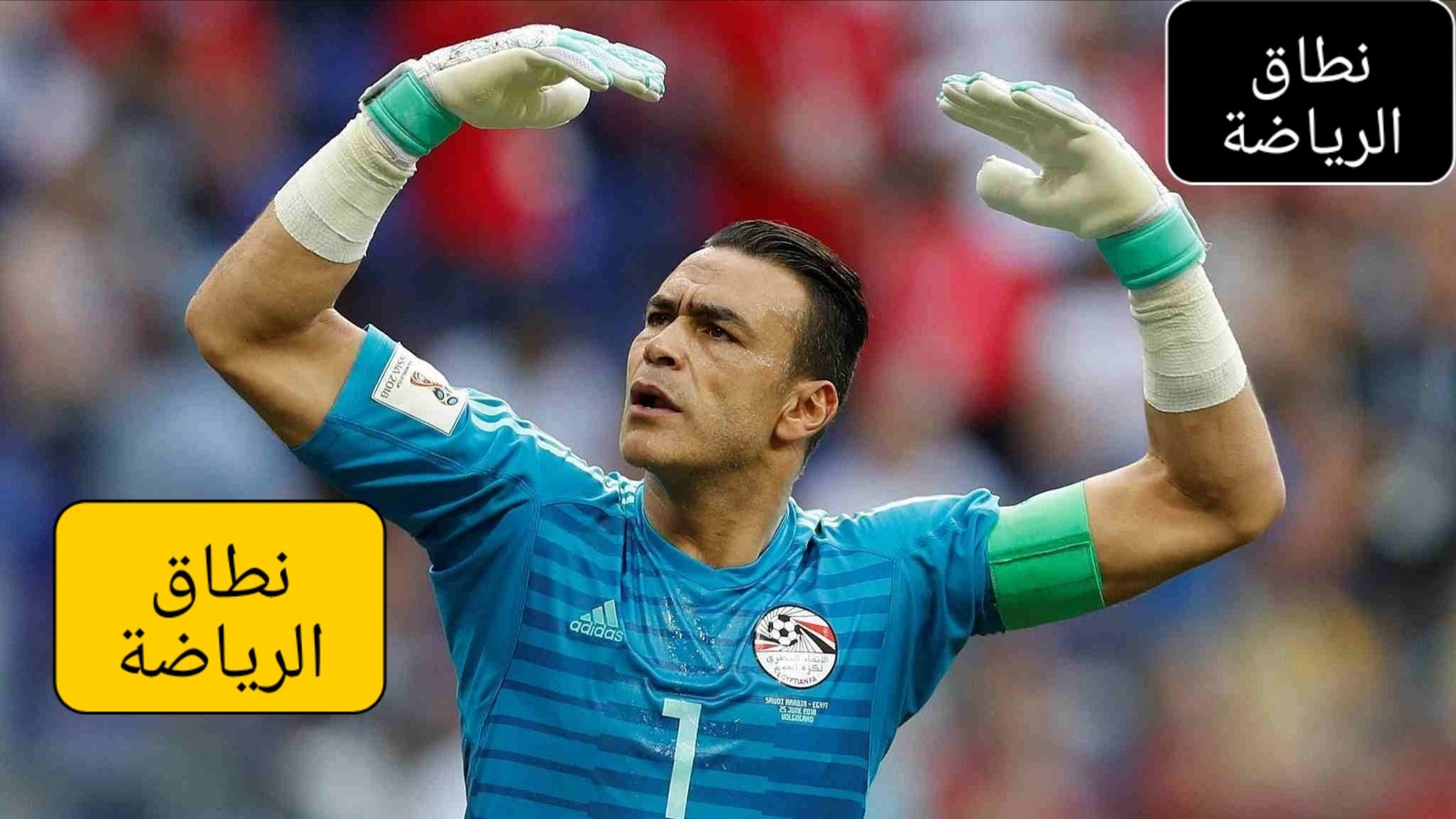 عصام الحضري اساسى فى كل إنجازات مصر